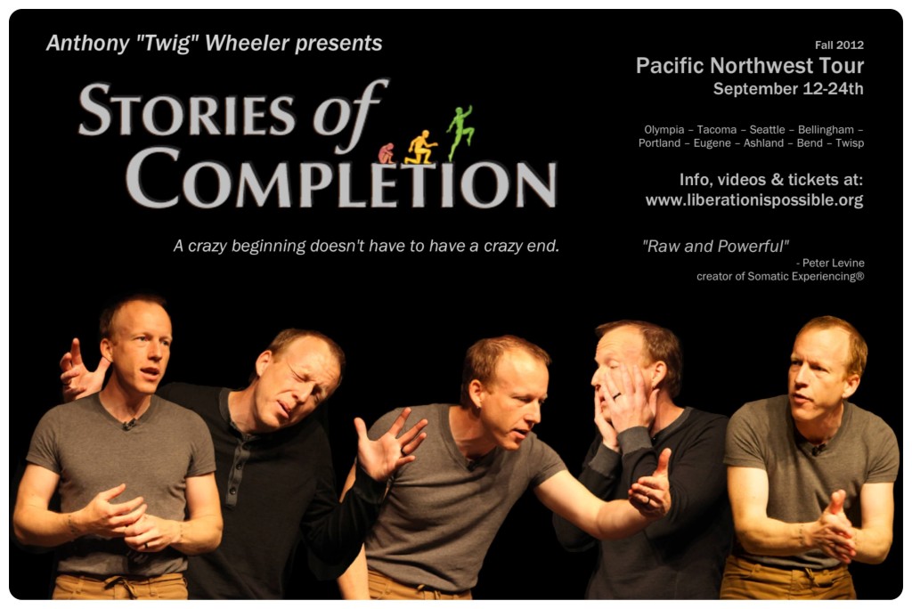 stories-of-completion-web
